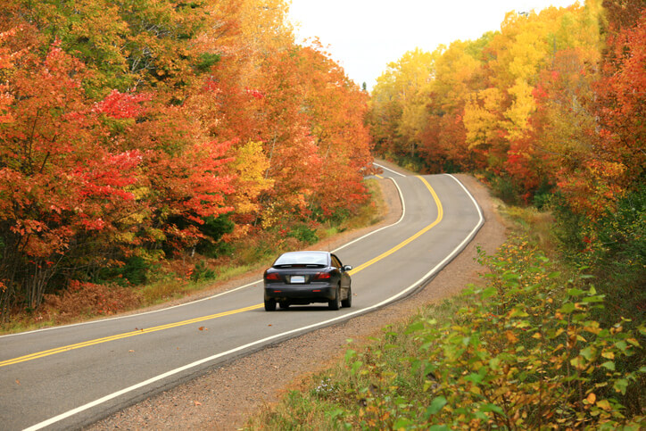 Autumn Drive 